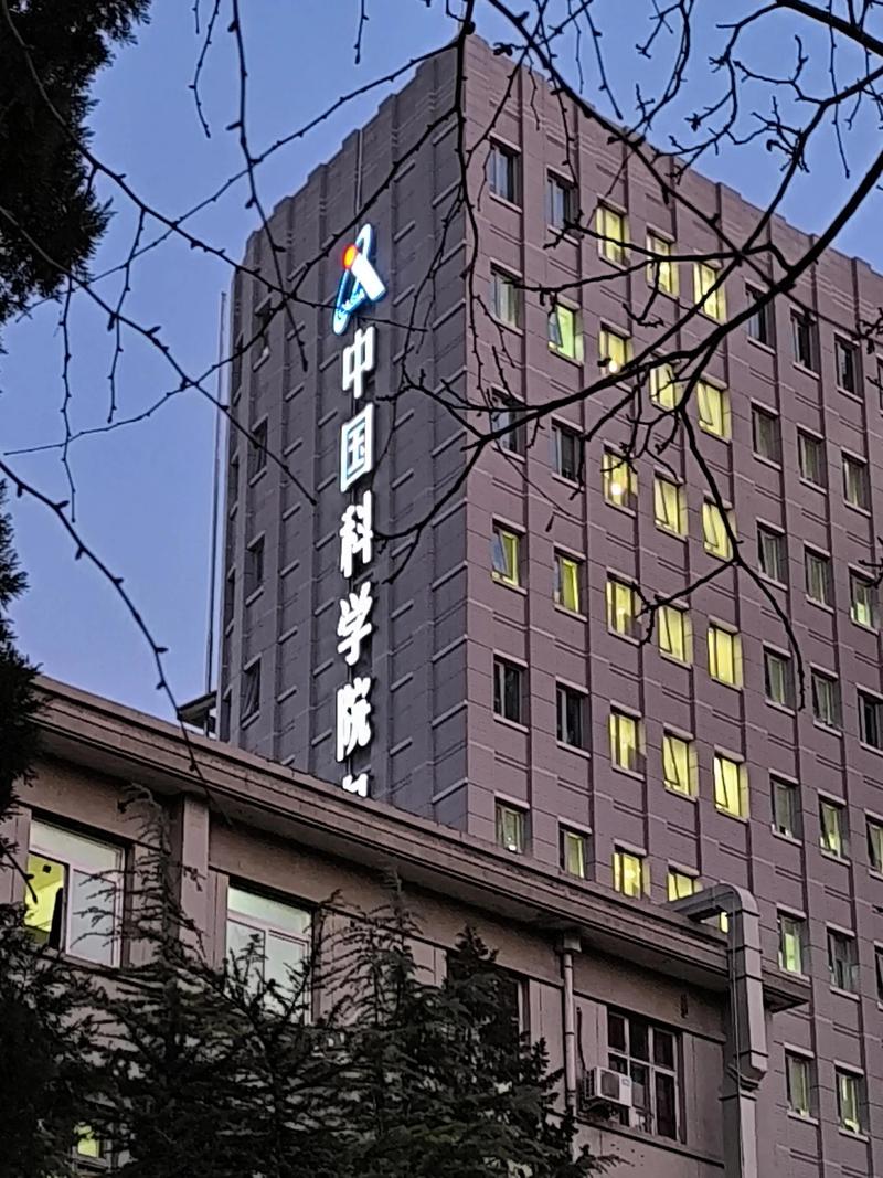 北京free技术公司提供哪些免费技术服务？-图1