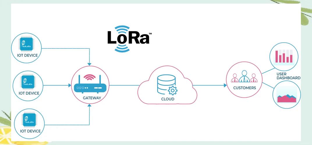 lora无线技术英文-图1