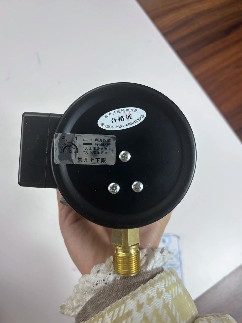 进口测压表品牌有哪些?-图3 进口测压表品牌有哪些?-图3