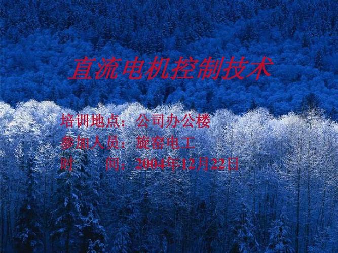 电机控制技术PPT核心内容有哪些？-图2