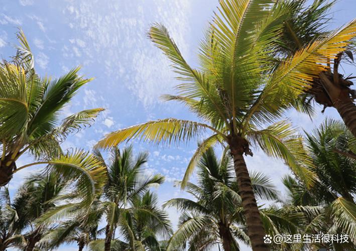 SW摄像头是什么品牌？-图2