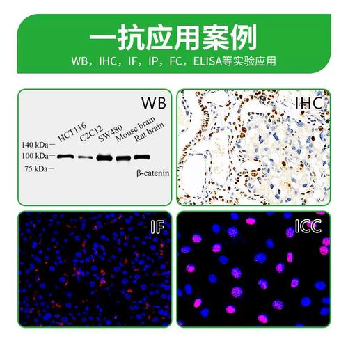 抗体品牌怎么选？-图2