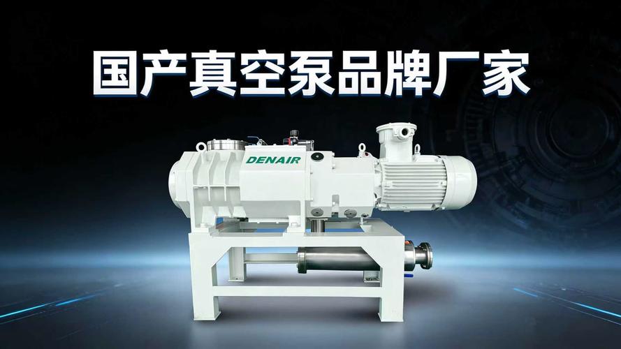 国产真空泵品牌有哪些?-图2 国产真空泵品牌有哪些?-图2