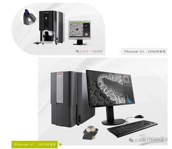 扫描电镜品牌怎么选？-图1