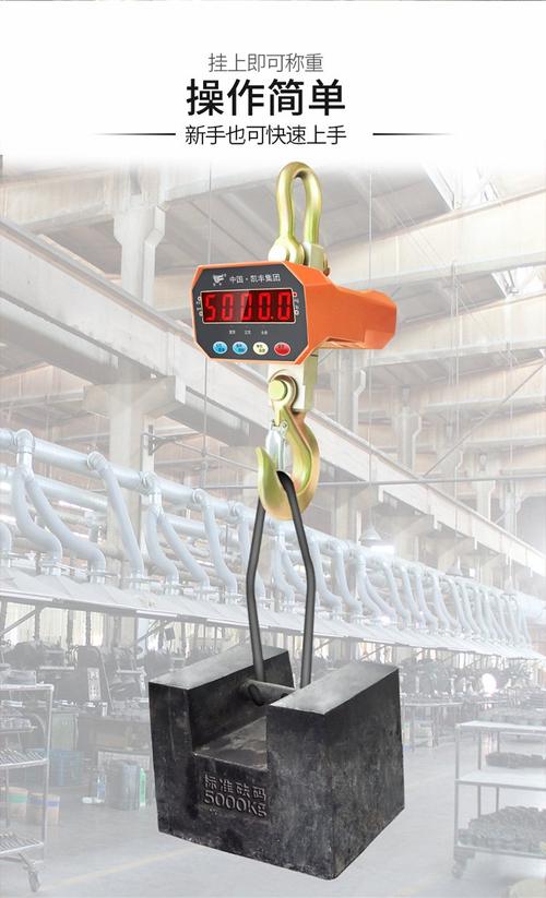 电子吊秤哪个品牌的好-图1