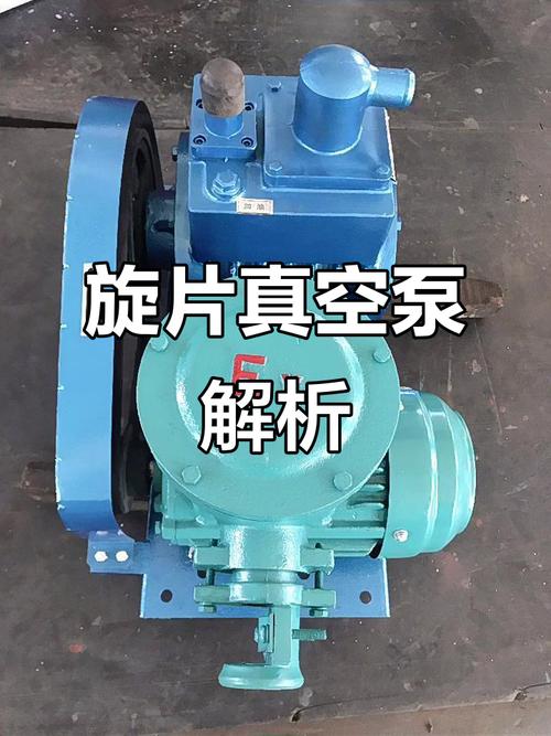 山西旋片式真空泵品牌-图1