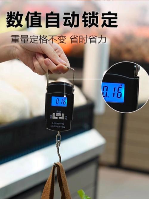 手持电子秤哪个品牌更靠谱？-图2