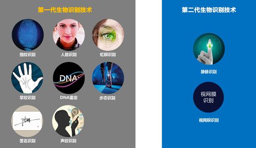 生物特征识别技术发展现状如何？-图2