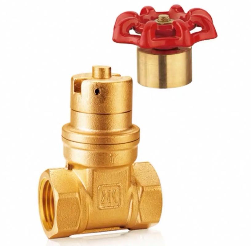 1NT是哪个阀门品牌?-图1 1NT是哪个阀门品牌?-图1