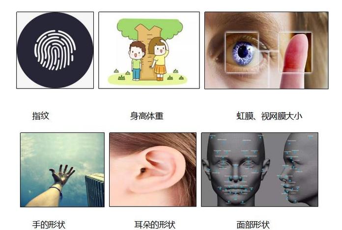 生物特征识别技术有哪些核心优点？-图3