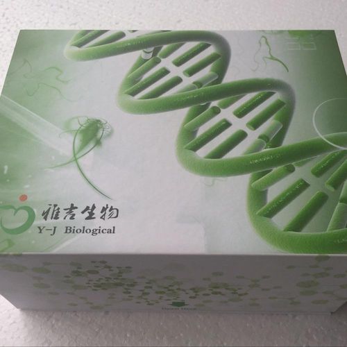 BV试剂盒哪个品牌更可靠？-图1