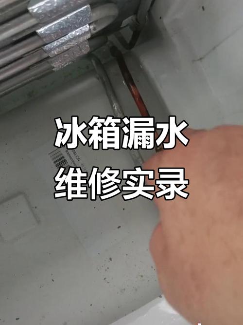 海尔 冰箱 维修 教程-图2