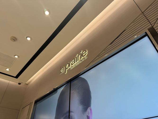 莱宝是哪个国家的品牌？-图3