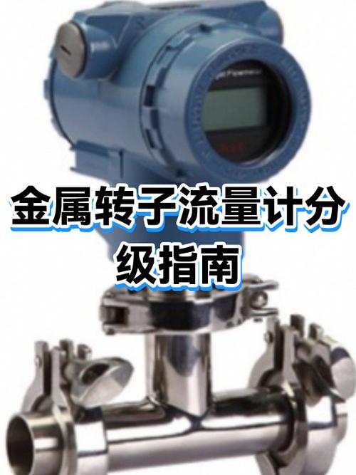 三转子流量计维修有哪些关键步骤？-图1