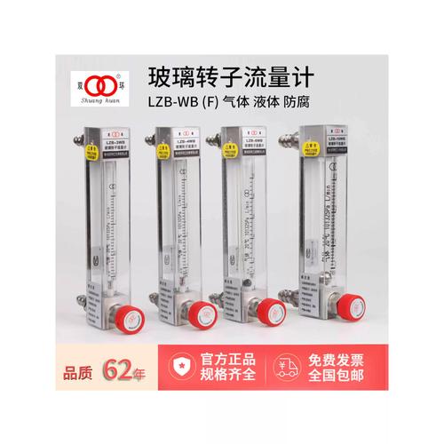 三转子流量计维修有哪些关键步骤？-图2