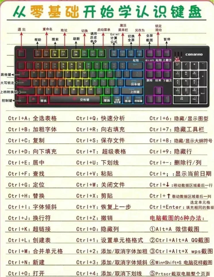 零基础学什么技术最易就业？-图3