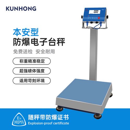 防爆电子秤哪个品牌好-图2