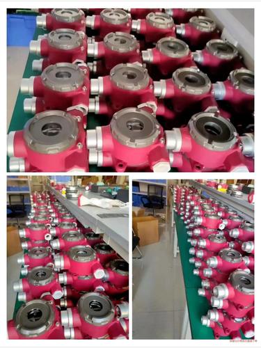 上海品牌气体探测器如何选？-图2