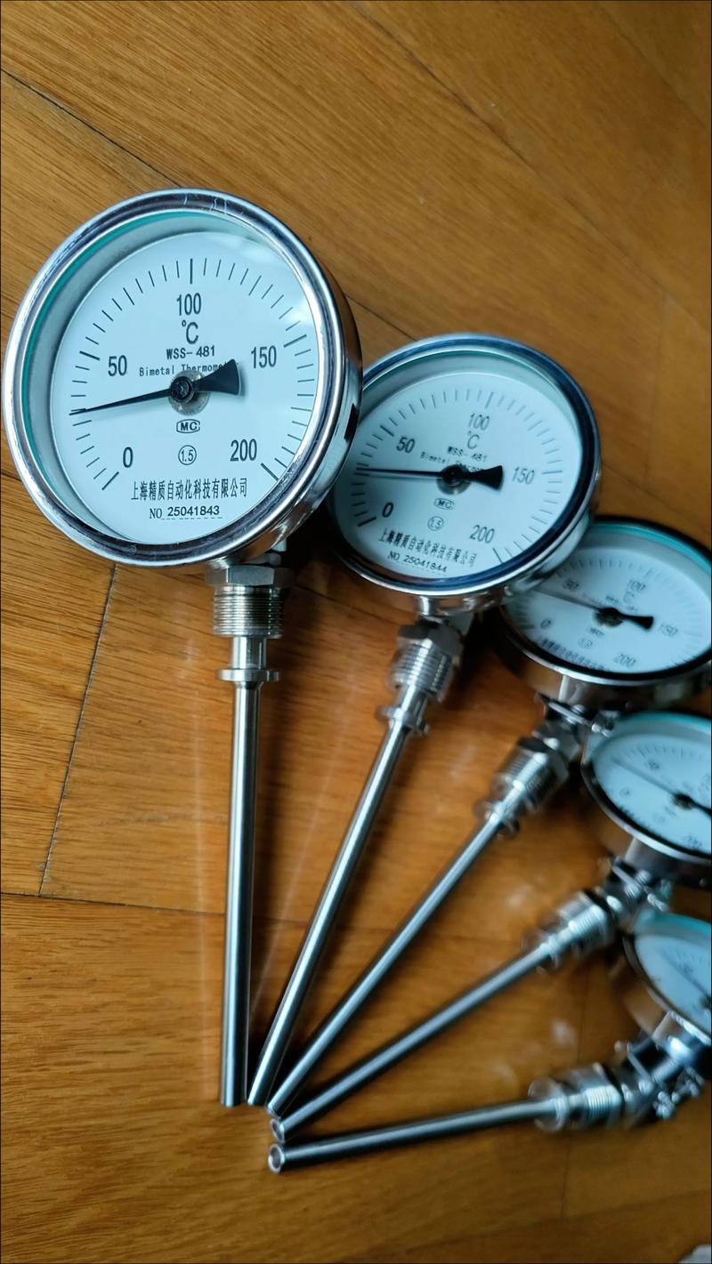 双金属温度计进口品牌有哪些？-图1