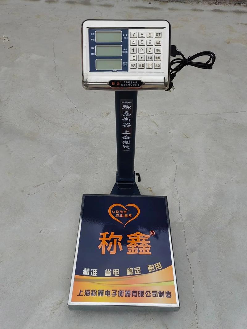 上海高精度电子秤品牌有哪些？-图3