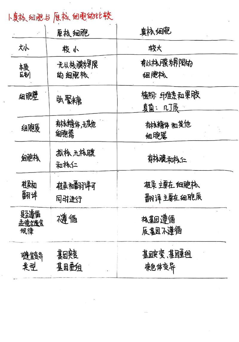 哪种生物识别技术最可靠？-图2